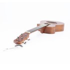 Ibanez Uewt5 Tenor Ukulele Acoustic Guitar  Open Pore Natural