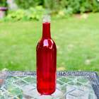 Empty Wine Bottles Without Labels -  1 Bottle Each   Wine Bottle Decorations
