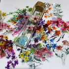 50pcs Transparent Flower Stickers  Cute Vintage Floral Sticker For Kids  Clear W
