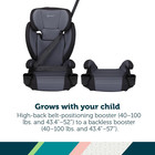 Grow And Go 2-in-1 Booster Car Seat With Comfortwings  Converts High-back To Bac