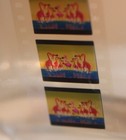 Walt Disney Fantasia Cast   Crew Member Award Gift 1999 Carnival Of The Animals