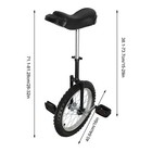 16in Wheel Unicycle Balance Training Bike Fitness Bicycle Adjustable Skid-proof