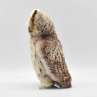 Bh6767 Hansa Spotted Owl 26
