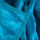 Throw Blanket Super Soft And Fuzzy Plush Mink Blanket For Bed Or Sofa 81x91 In
