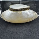Vintage Mother Of Pearl Shell Snuff Trinket Pill Box Hinged Lid Seashell