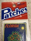 Florida Voyager Souvenir Patch Oranges Tree Sunshine State Vtg Embroider New Usa