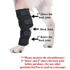 Dog Knee Brace Leg Brace For Sprain Acl Arthritis Joint Pet Dog Back Leg Support