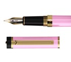 Fountain Pen - Medium And Fine Nibs   Includes 24 Ink Cartridges And Ink Refi   