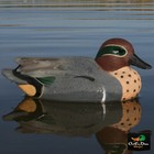 Avery Greenhead Gear Ghg Lifesize Green Winged Teal Duck Decoys Weighted Keels