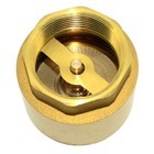1 2    3 4  1  2  Vertical Brass Check Valve Npt Thread Spring Backflow Prevention