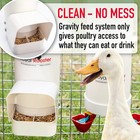Royal Rooster Chicken poultry Coop Waterer   Feeder  Twin Valve Cups Waterer