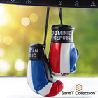 Country Flag Mini Boxing Gloves - Hanging Punching Gloves Cosori Kettle