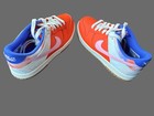 Nike Dunk Low Se Everything You Need Kids Youth Shoe 5 5 Youth 7 To 7 5 Women   s