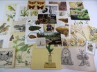 30-pc Vintage Garden Ephemera Flowers Butterflies Birds  Junk Journal Fodder