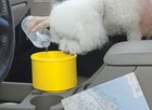 To Go Bowl Dog Travel Bowl Fits In Car s Cup Holder -  Limited Edition Yellow
