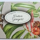 Singapore Mnh Stamps Presentation Pack Native Gingers - 24 July 2018