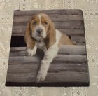 Keith Kimberlin Basset Hound Stretchable Book Cover 8 Inch Dog Lovers Brand New