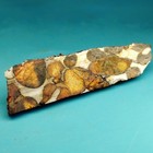 Sericho Pallasite Meteorite Specimen From Kenya