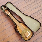 Alamo Embassy 1950s Lap Steel W original Case  video 