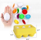 Toddler Toys - Color Matching Egg Set - Educational Color  Shapes And    