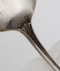 925 Sterling Silver Spoon Wild Rose Unknown Manufacturer 14 1g Scrap Use 5-1 4   