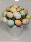Martha Stewart Pastel Easter Egg Flower Pot Centerpiece Moss Spring Table Decor