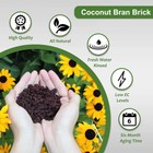 650g 5kg Coco Coir Brick Coconut Fiber Potting Nutrien Soil Plant Growing Media