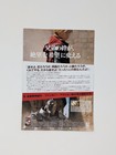 Japanese Chirashi Mini Poster Promotional Flyer 10 X 7