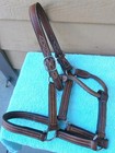 Leather Track stud Halter 8 Ft  Lead Turquoise Lunge Line Horse Hair Tassel