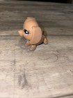 Littlest Pet Shop  932 Dachshund Rare Tan Puppy Dog Pink Star Eyes Lps 2006
