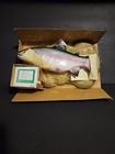 New Vintage Gemmy Travis The Singing Trout Do Wah Diddy Diddy Rock The Boat 1999