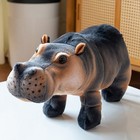 11   Standing Gassy Hippo Stuffed Animal Plush Toy Moo-deng Hippo Doll Gift