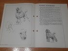 Standard Poodle Breed Supplement Ras Kennel Control Non-sporting Group 6