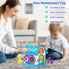 14-in-1 Montessori Toys For 1 Year Old Boy Gifts  Musical Educational
