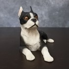 Vintage Castagna Italy Boston Terrier Dog Figurine