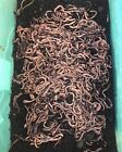 500 Canadian Night Crawlers 