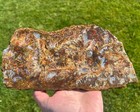 Huge Graveyard Point Plume Moss Agate Collector Slab  s21 
