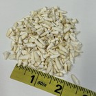 Lot Of 250 Assorted Small Coyote Teeth Real Cleaned Taxidermy Weird Goth  4037