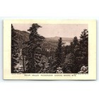 C1880 Buffalo Ny Buffalo Furniture Co P w  Forbush Victorian Trade Card P109