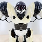 Wowwee Robosapien Robot Toy R c Robot 14  With Remote Control 2004 Tested