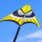 Kaiciuss 8 2ft Giant Delta Kite For Adults  Easy Fly Single Line W long Tail