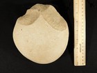 Huge  2 9 To 1 7 Million Year Old Paleolithic Age Oldowan Pebble Chopper 1095gr
