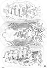 Vintage Traditional Tattoo Art Flash Acetate Books Bert Grimm Col  Todd