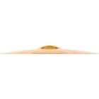 Meinl Hcs Ride Cymbal 20 In