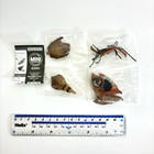 Bandai Gashapon Mini Collection Figure Insect 02 Giant Dead Leaf Mantis Japan