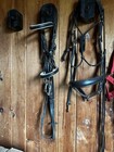 Hdr Dressage Bridle