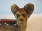 Vintage Skye Or Briardterrier Dog Figurine  Porcelain Occupied Japan