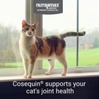 Cosequin For Cats Joint Health Supplement  Contains Glucosamine 60 Count