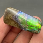 Amazing Blue Green Ammolite Canadian Ammonite Fossil Authentic