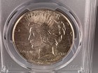 1926 P Peace Silver Dollar  1 Pcgs Ms 64  High Grade  Low Mintage Coin